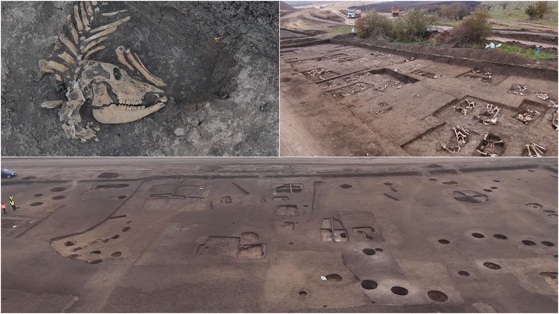 Un cimitir sarmatic vechi de 1.900 de ani și locuințe de lut, descoperite pe șantierul Lotului 4 al căii ferate Timișoara – Arad