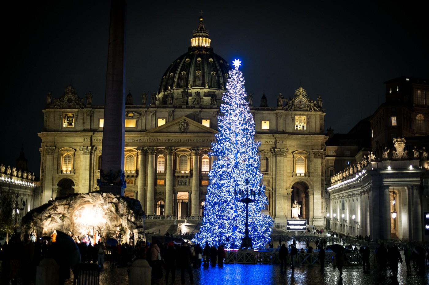 Bradul vechi de 200 de ani care va decora Piața Sfântul Petru din Roma a fost tăiat în ciuda protestelor. Explicațiile Vaticanului