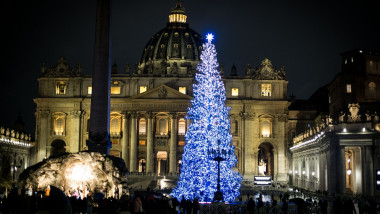 Christmas Tree In St Peter's Square