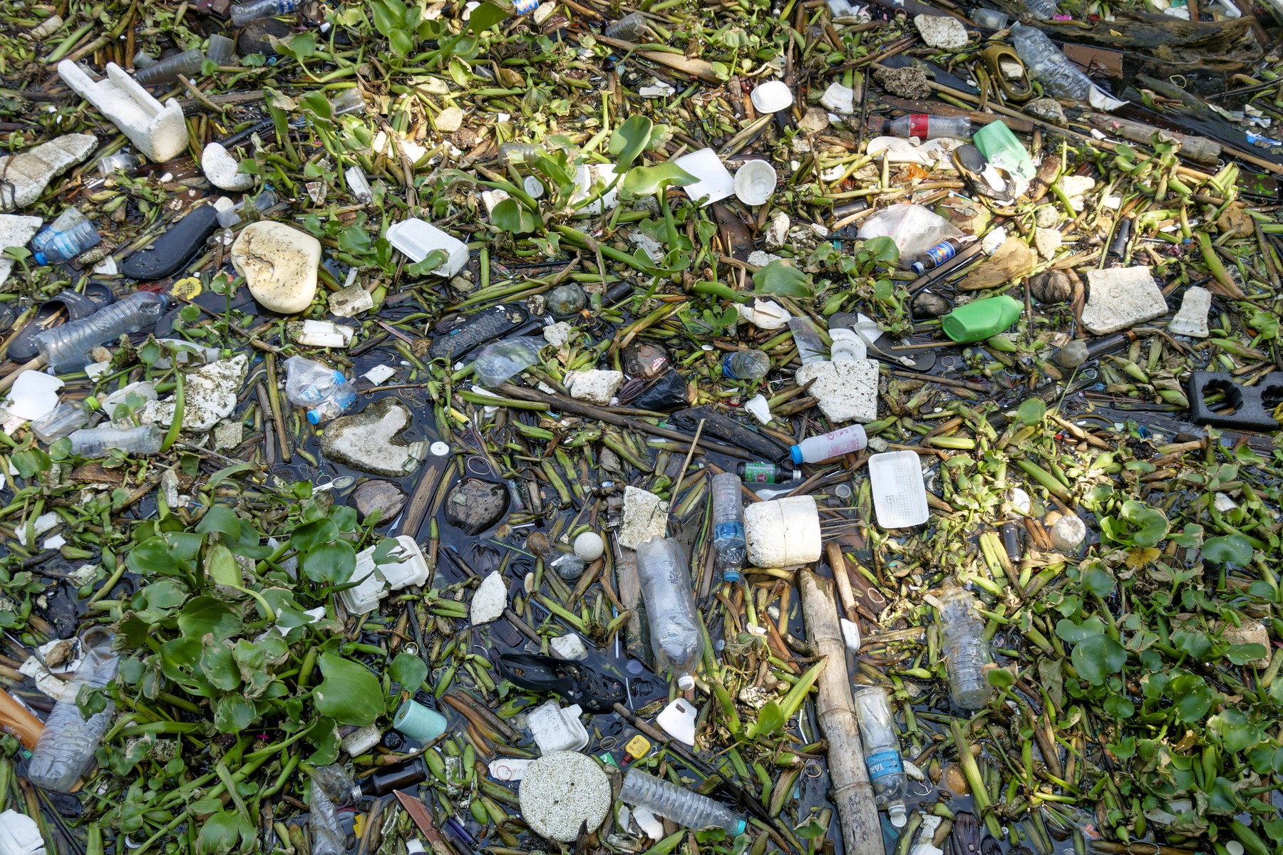 Lumea va fi incapabilă să facă față volumului de deșeuri din plastic în 10 ani, avertizează un expert