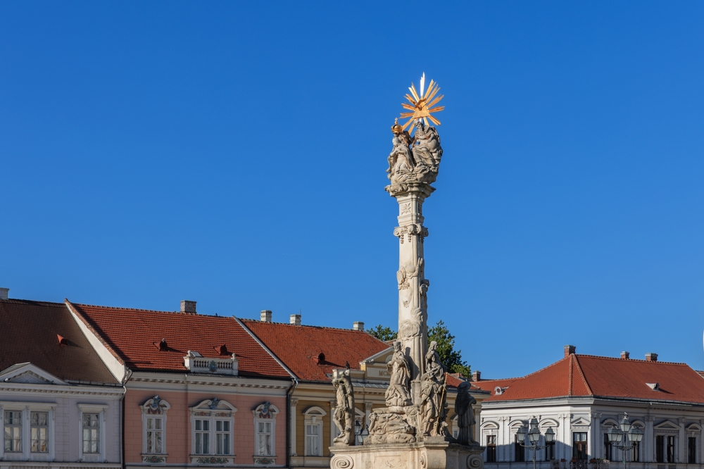 Un bărbat a ameninţat că va sparge cu barosul statuile din Timişoara pentru că nu sunt româneşti. Ce a făcut Poliția