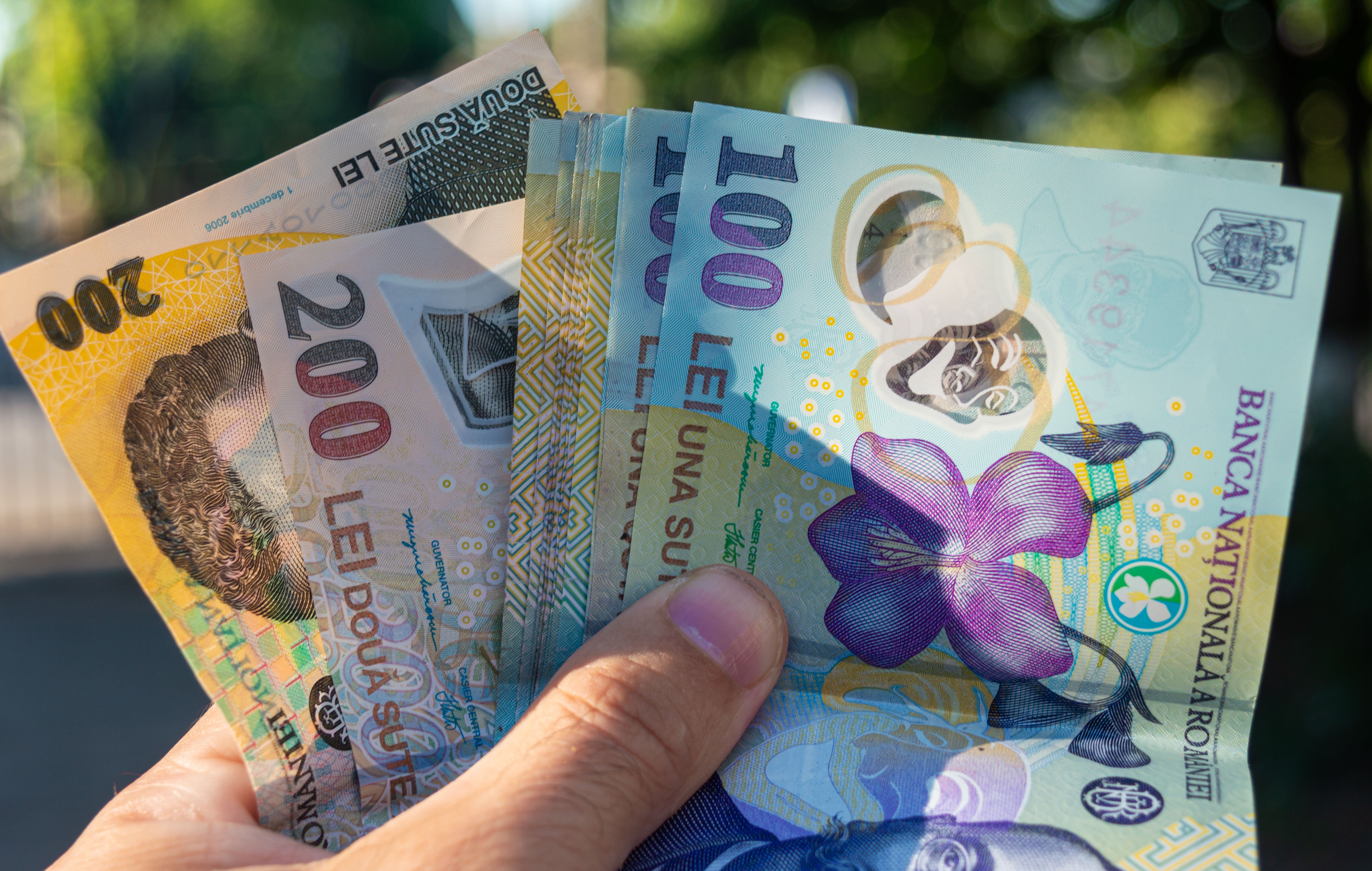 Analist economic: „O criză pe scena politică poate fi ca bomboană pe coliva economică”