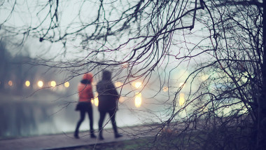 Background,Autumn,Park,Weather,Evening,,Walk,In,Seasonal,Weather,November