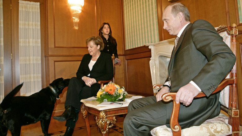 Koni, câinele lui Putin, apropiindu-se de Angela Merkel în timpul întâlnirii. Foto: Profimedia Images