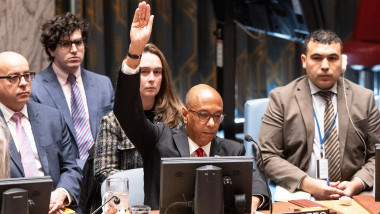 Security Council vote on a draft resolution on the war in Gaza, UN Headquarters, New York, New York, USA - 20 Nov 2024