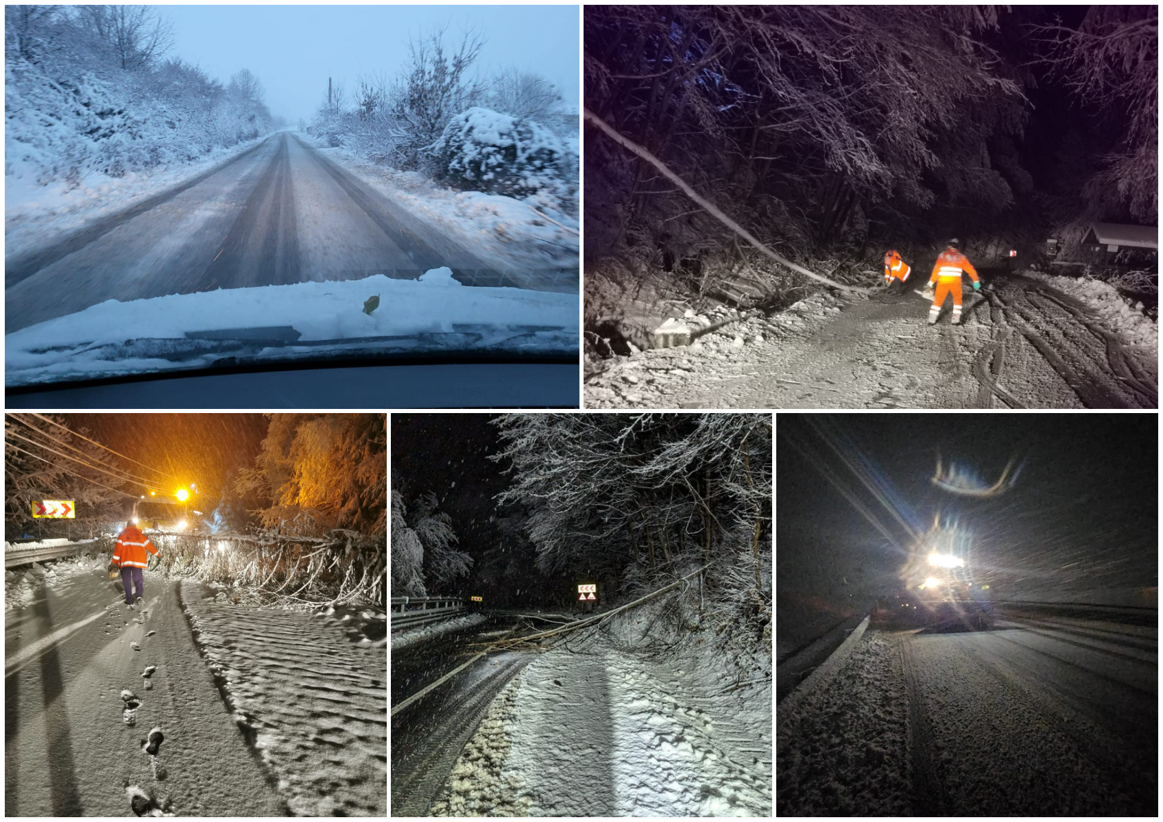 Primul episod de iarnă a lovit România în plin: Ninsori și viscol în mai multe județe, copaci căzuți pe șosea, trenuri oprite