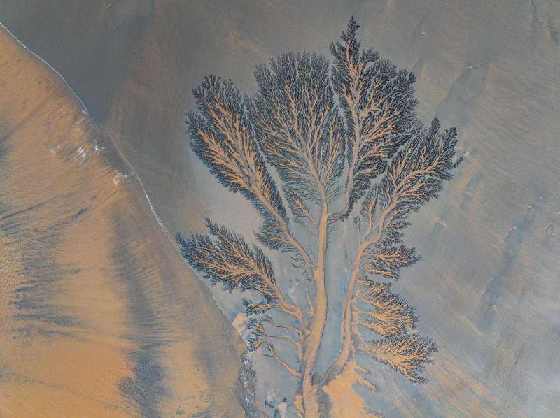 Natural patterns appear on riverbed of Qiantang River