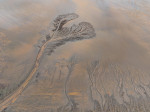 Natural patterns appear on riverbed of Qiantang River