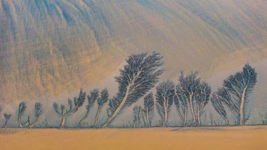 Natural patterns appear on riverbed of Qiantang River