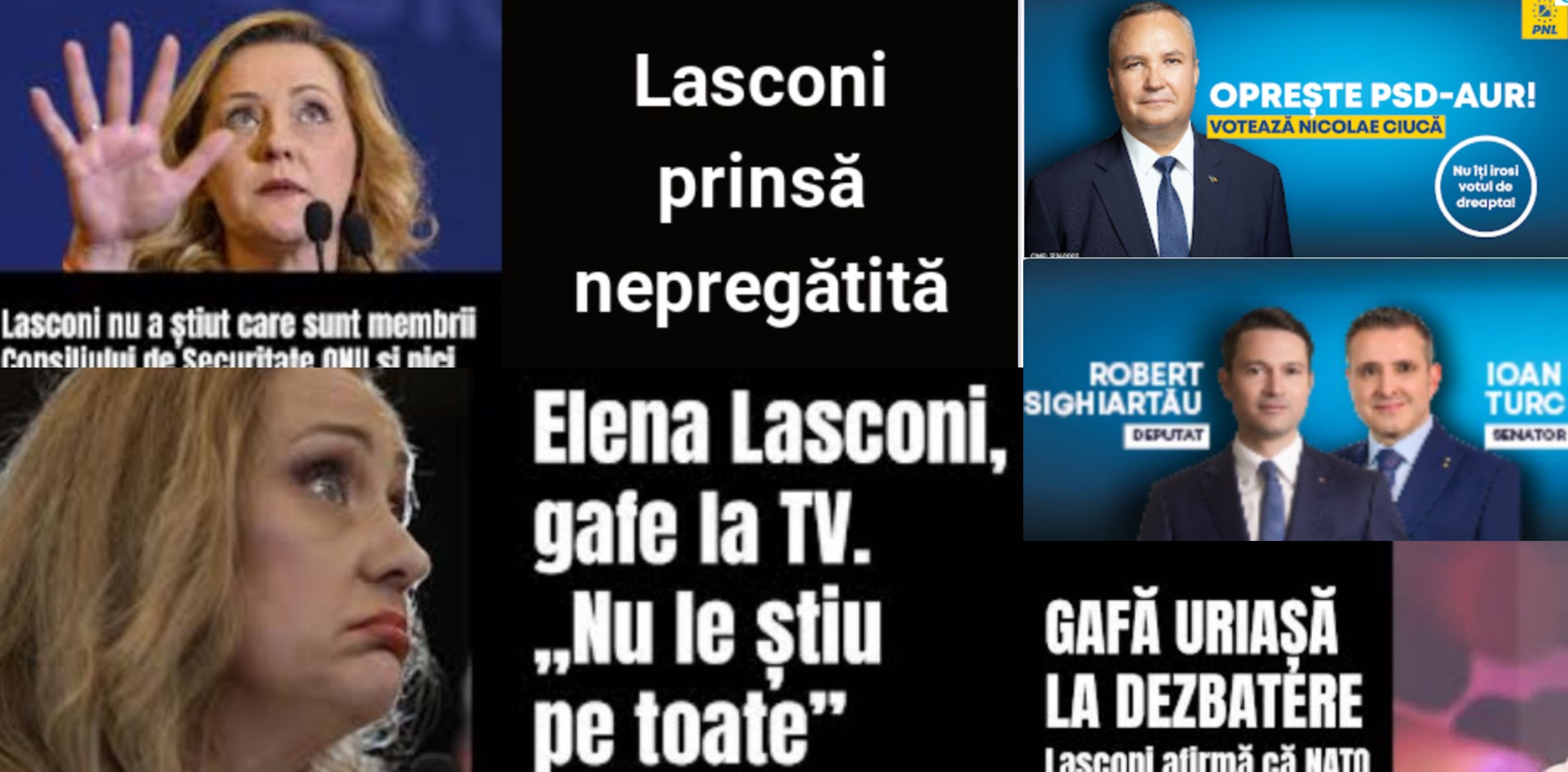 Campanie a PNL împotriva Elenei Lasconi: Reclame plătite de o firmă a unui liberal care a dat lovitura în anul electoral 2024