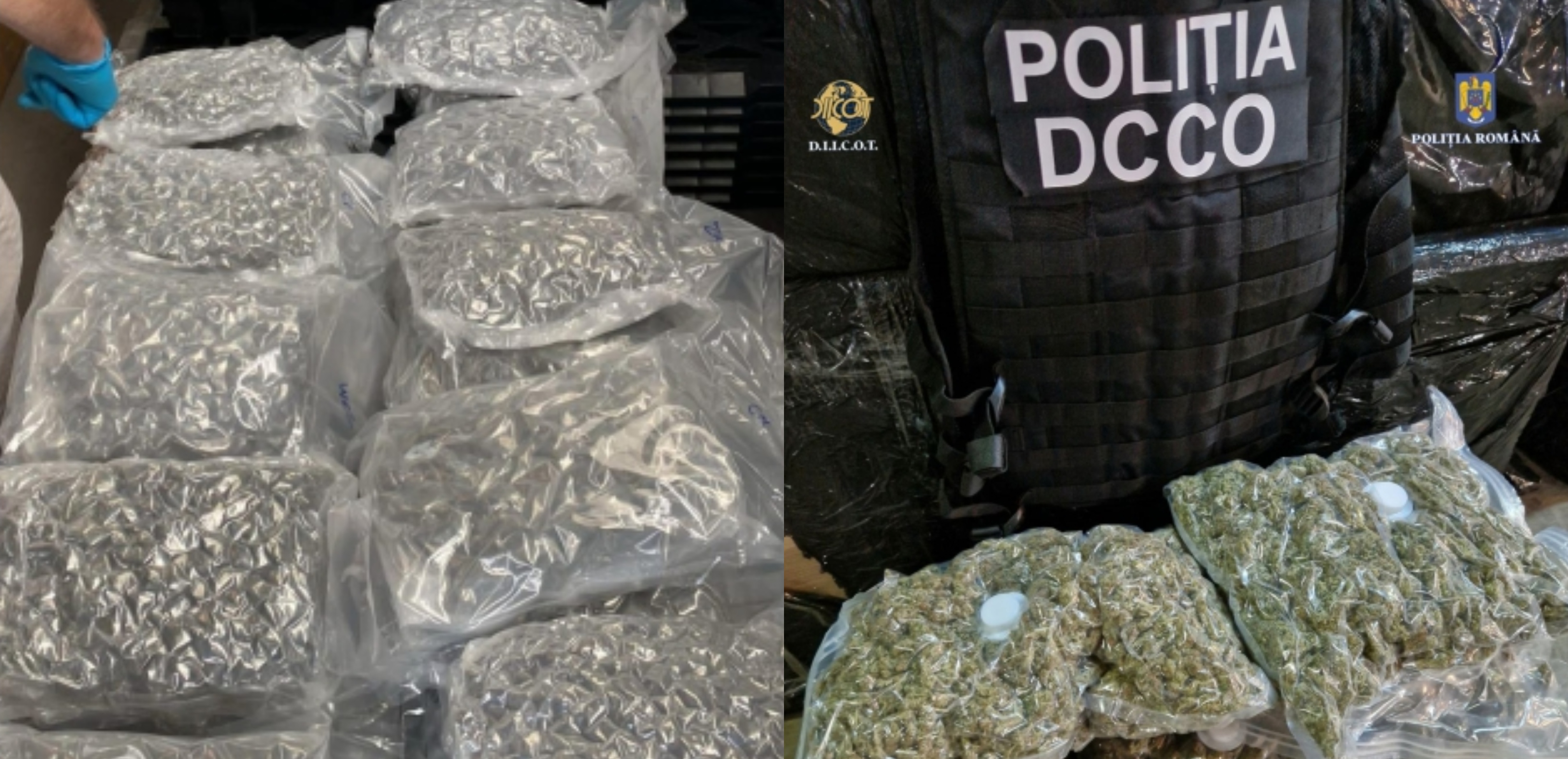 Operaţiunea „BLIZZARD”: Trafic de droguri și arme prin firme de coletărie, arestări și sute de kilograme de droguri confiscate în 2024