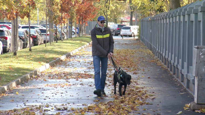 Doi nevăzători însoțiți de un câine ghid, agresați de angajații unei biserici din București. „Ne-au amenințat că o să ne taie picioarele și nouă și câinelui”