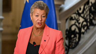 Ylva Johansson face declaratii