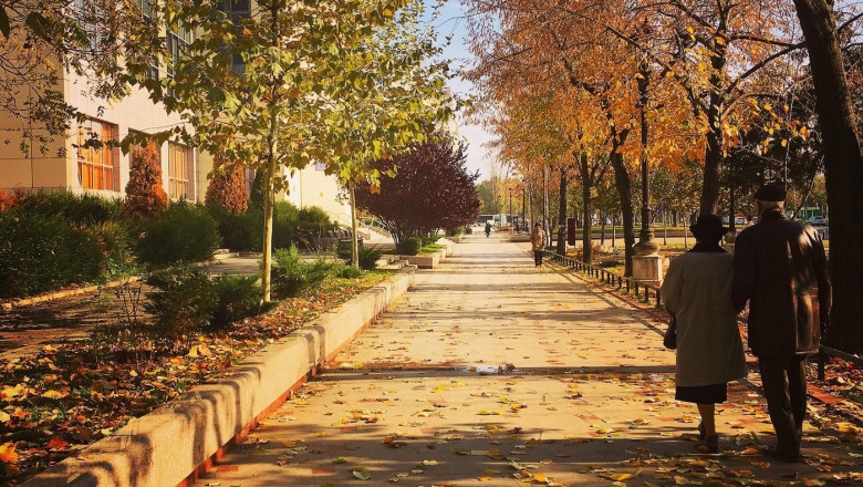 oameni pe strada cu frunze cazute