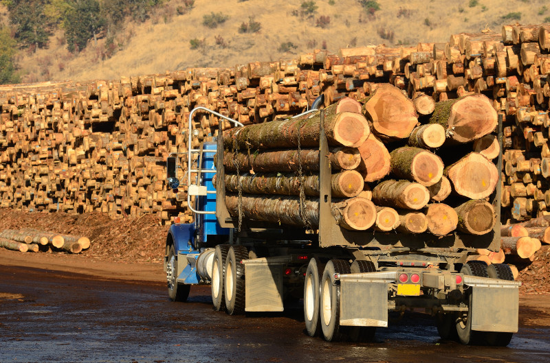 A,Log,Truck,Delivers,Its,Load,To,A,Sawmill,In