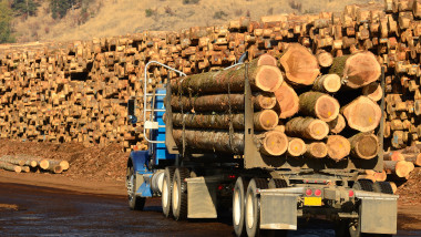 A,Log,Truck,Delivers,Its,Load,To,A,Sawmill,In