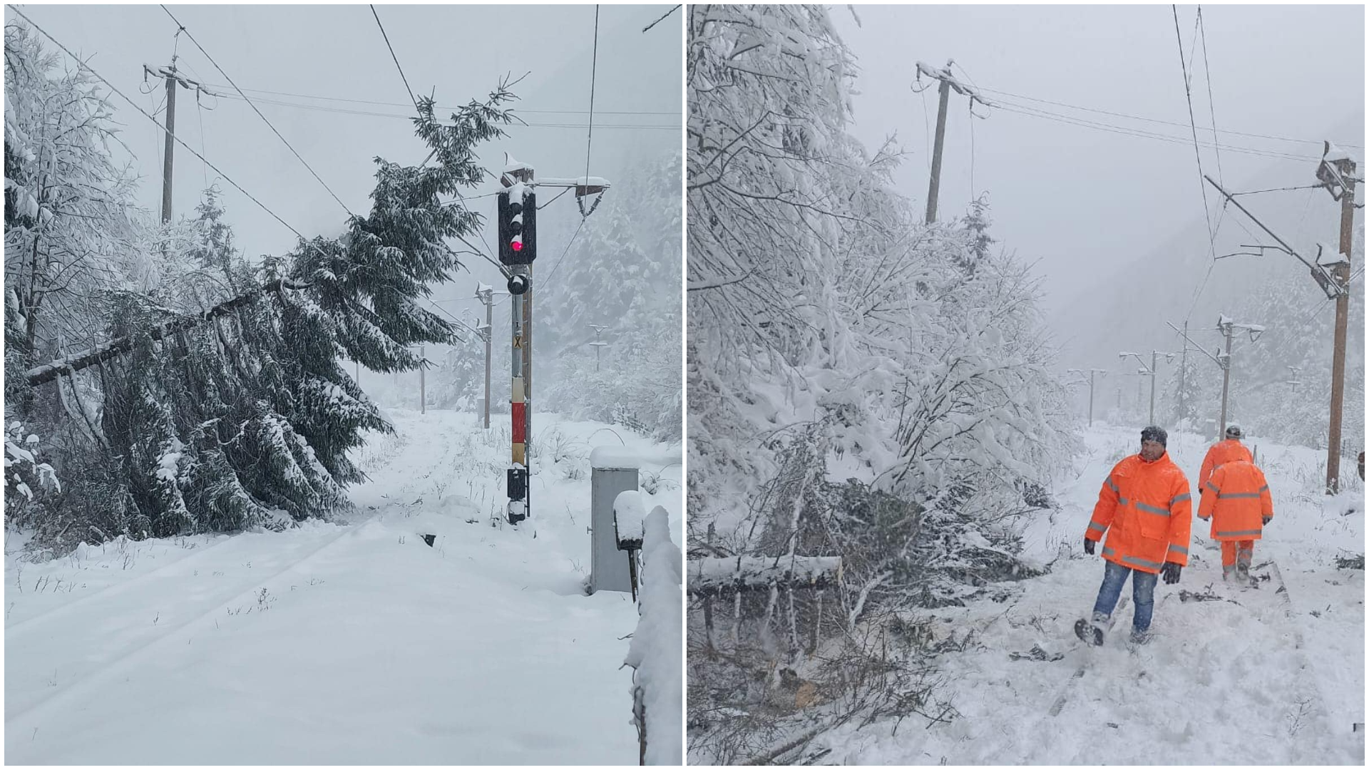 Traficul feroviar, afectat de condițiile meteo extreme: copaci căzuți pe șine în Brașov și Iași
