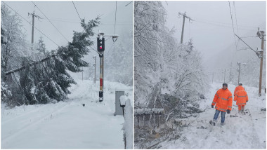 Traficul feroviar, grav afectat de vânt, ploi și ninsori. Mai mulți copaci au căzut pe calea ferată în Brașov și Iași