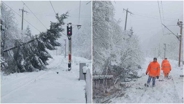 Traficul feroviar, grav afectat de vânt, ploi și ninsori. Mai mulți copaci au căzut pe calea ferată în Brașov și Iași