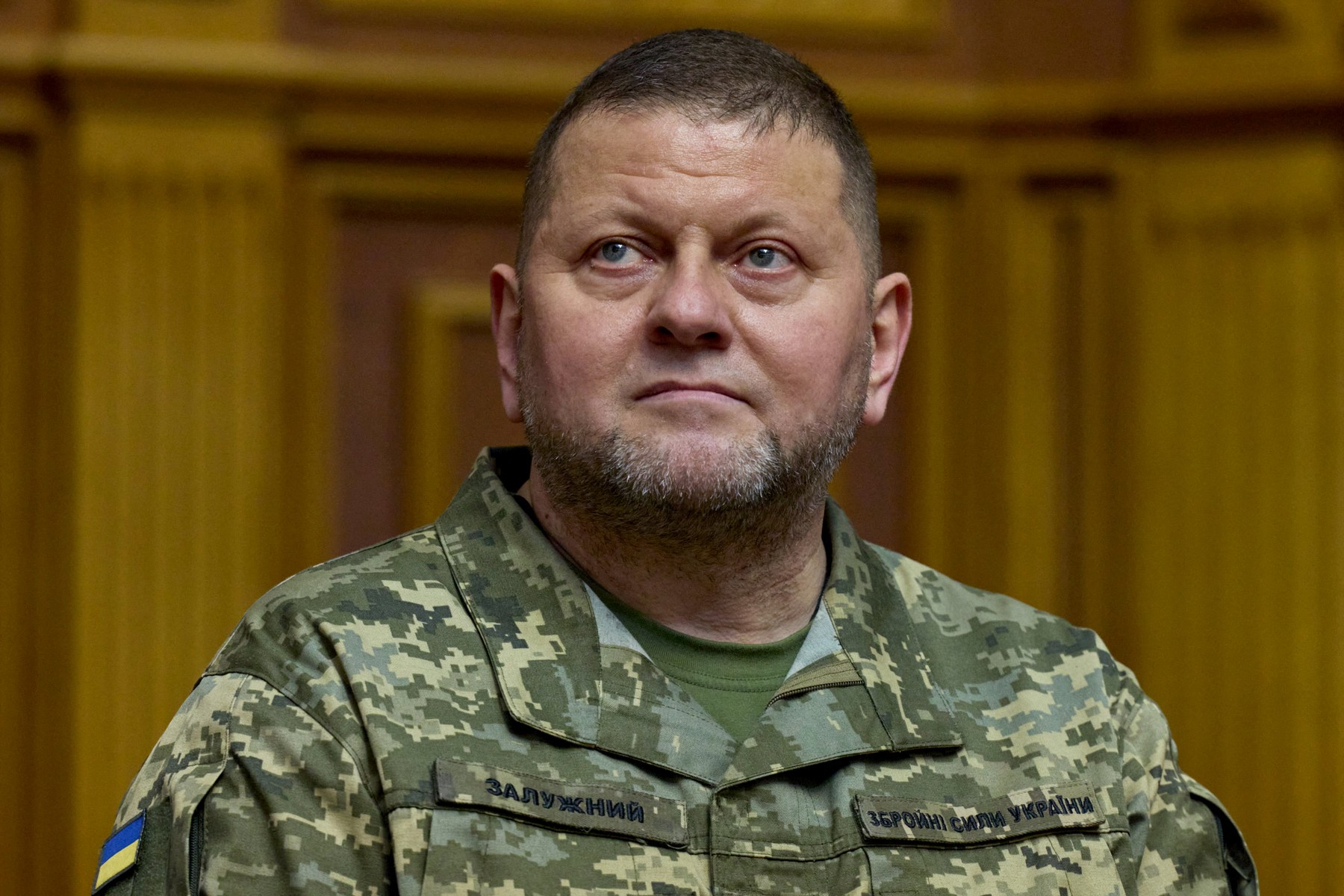 Fostul comandant al armatei ucrainene: „Europa nu este pregătită pentru un război prelungit cu Rusia”