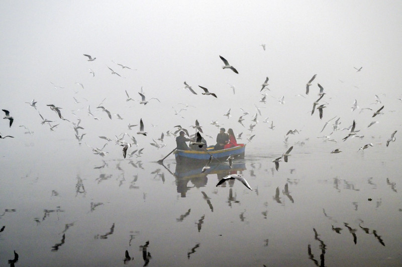 barcă-râu-Kashmir-pescăruși