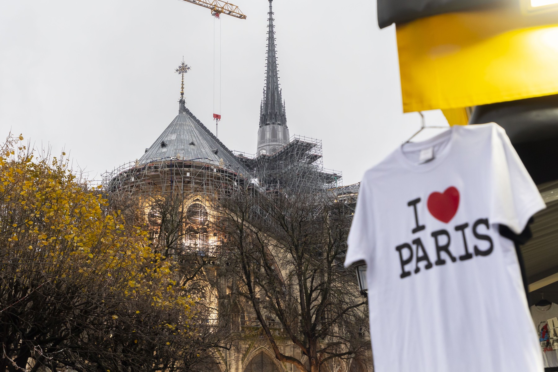 Cum a renăscut Notre Dame, catedrala simbol a Franței