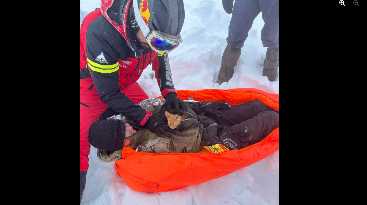 Cum a fost salvat un ucrainean de o pisică. Bărbatul de 28 de ani căzuse într-o râpă în Munții Maramureșului