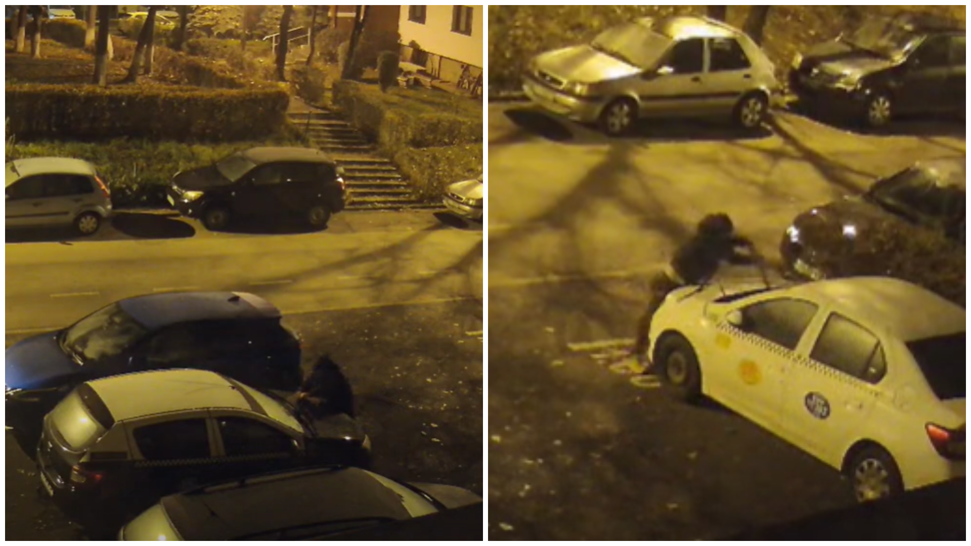 23 de mașini vandalizate, pe o stradă din Cluj-Napoca. Polițiștii îi caută pe făptași