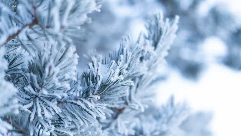 Cum va fi vremea până pe 13 ianuarie. Prognoza meteo pentru următoarele patru săptămâni