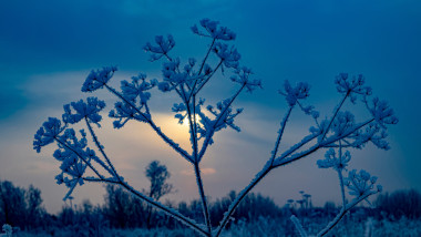 Astăzi este solstițiul de iarnă 2024 și cea mai lungă noapte din an. Foto Shutterstock