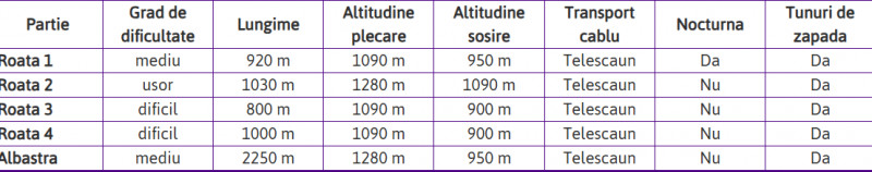 Pârtii de schi Cavnic. Foto FreeCam