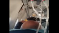 Imagini filmate în avionul Azerbaijan Airlines, chiar înainte de prăbușire.