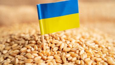 Grains wheat with Ukraine flag, trade export and economy concept.