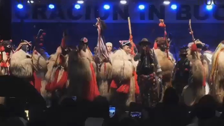 urși pe scenă la un festival din suceava