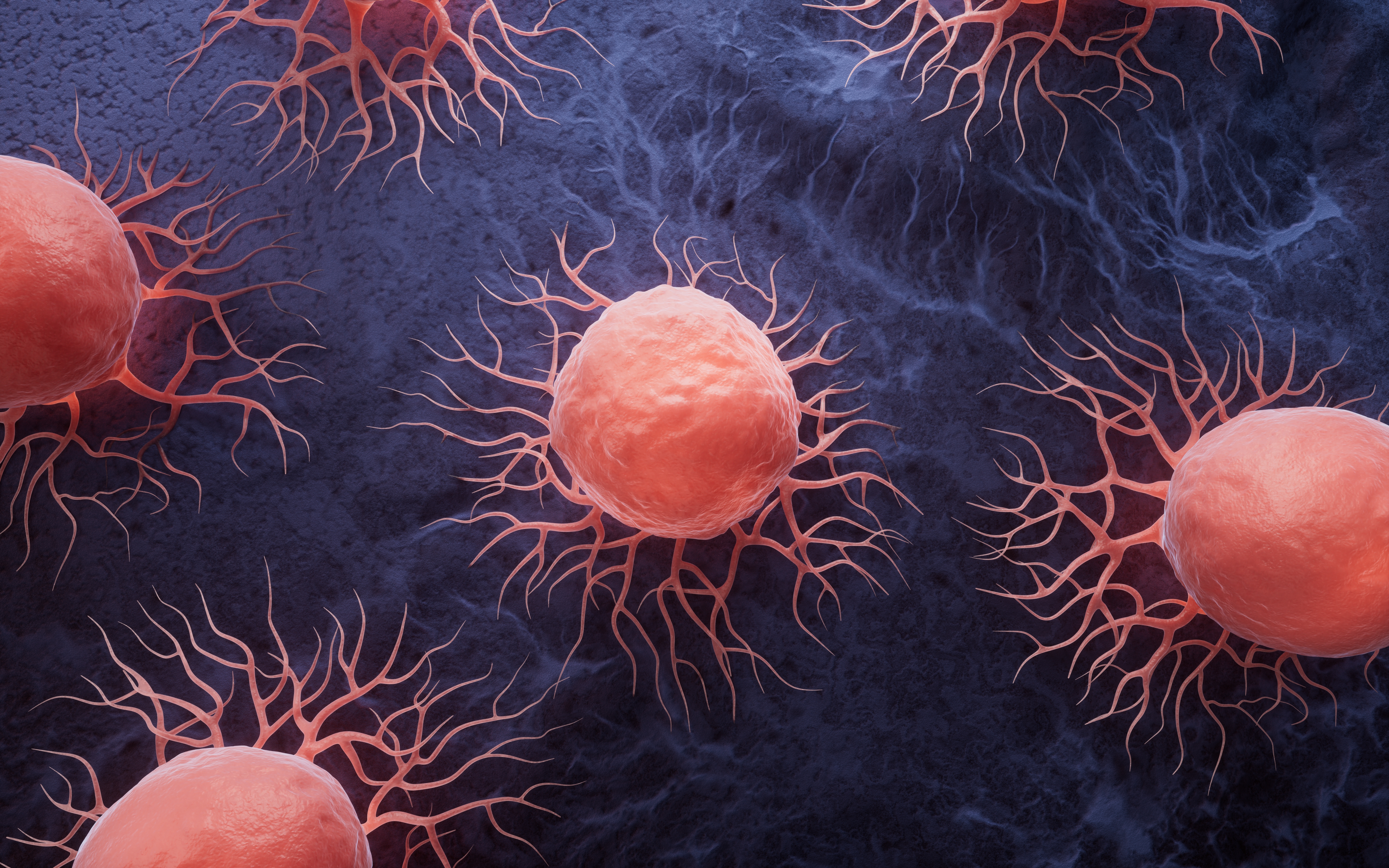 Mutatia genetica „subtila” care-i face pe oameni vulnerabili la cancer. Explicatia cercetatorilor si comparatia cu alte primate