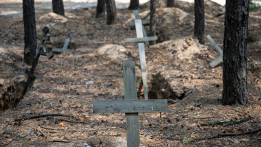 Cimitir pădure