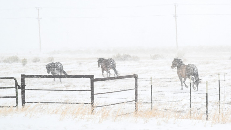 Winter storm warning issued for Northern California