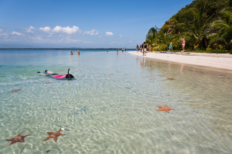 Starfish Beach, Isla Colon, Bocas Del Toro, Panama