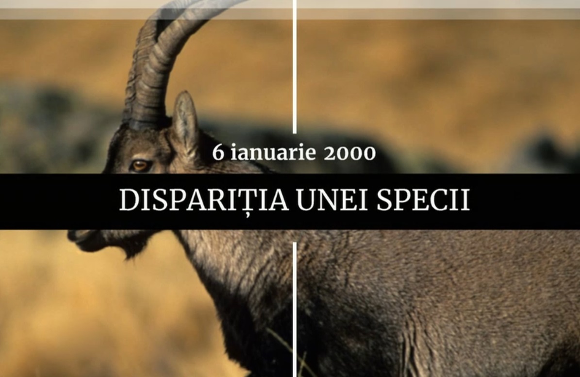 Digistoria - cele mai importante evenimente petrecute pe 6 ianuarie