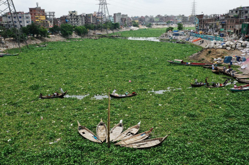 Dhaka, Bangladesh - May 15, 2022: The River Buriganga in Dhaka has been covered with water hyacinth for several days. When you suddenly see Buriganga,