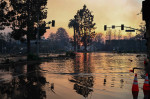 Wildfires tear through Los Angeles