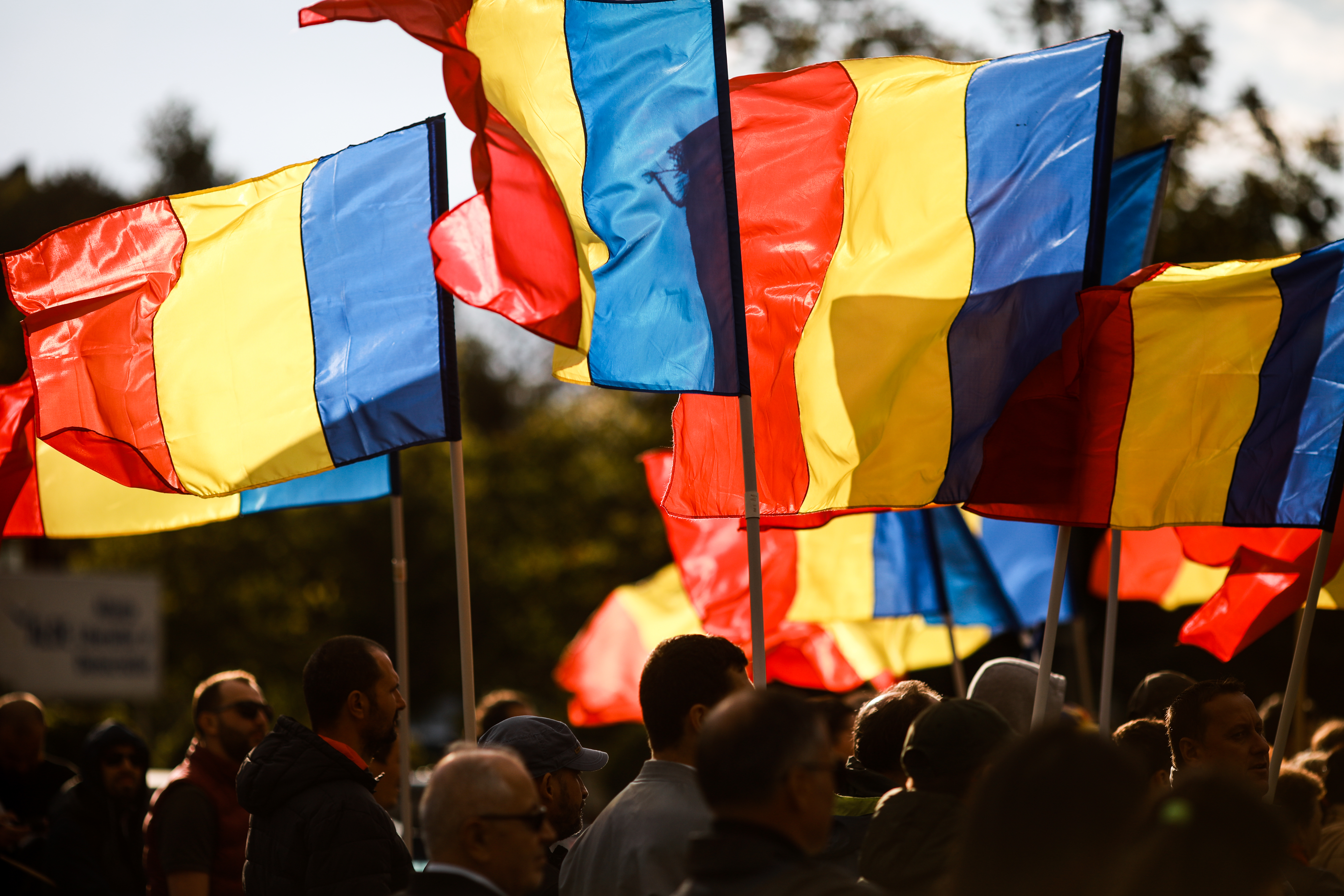15 ianuarie, Ziua Culturii Naționale 2025. Acces gratuit în mai multe muzee astăzi. Evenimente programate în București și în țară