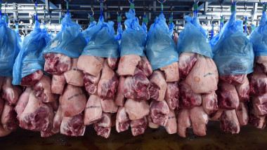 export carne