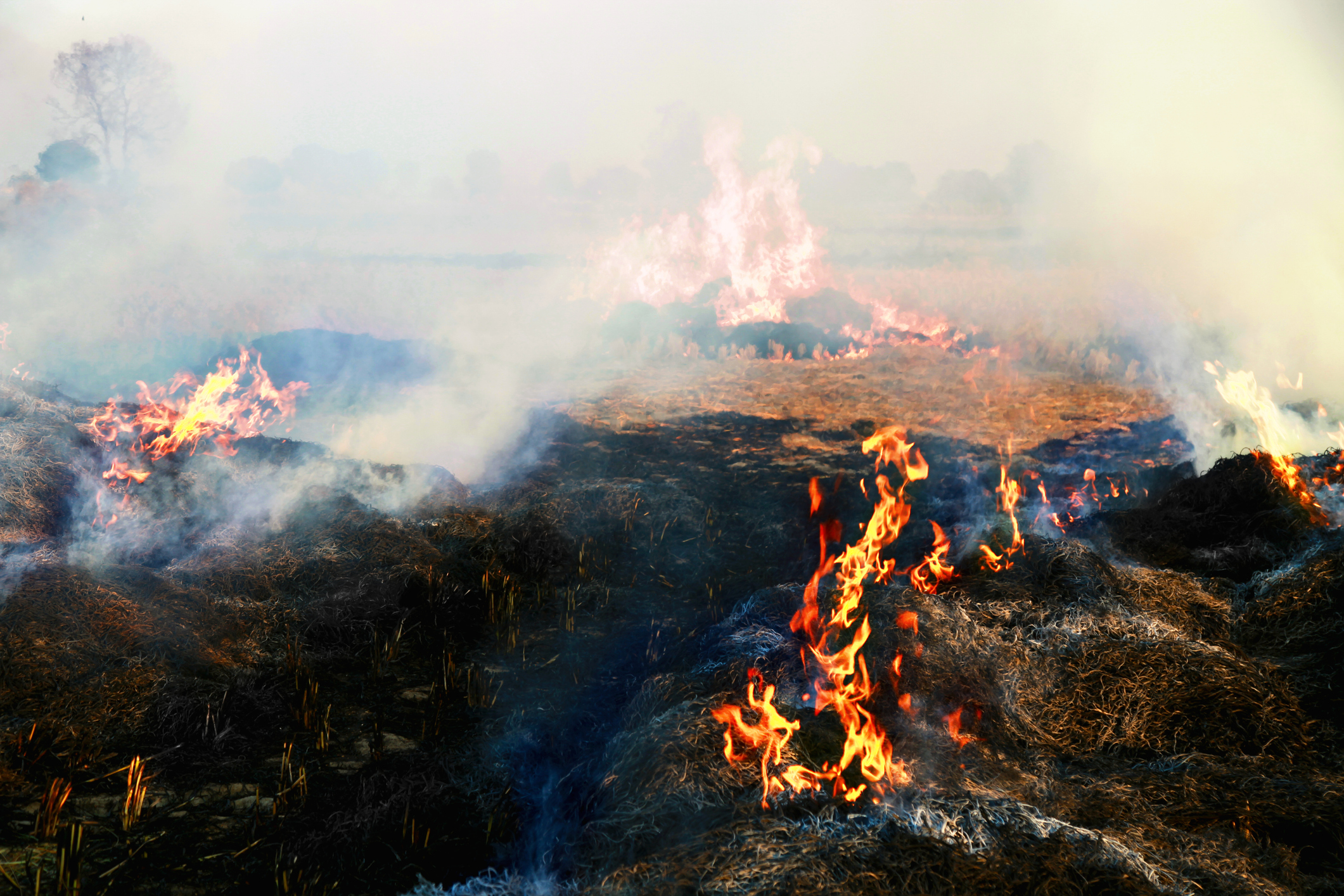 „Nu poți să respiri”. Groapa de gunoi din Petroșani arde de două săptămâni. Reacția autorităților