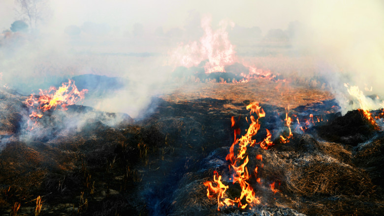   Video  „Nu poți să respiri”. Groapa de gunoi din Petroșani arde de două săptămâni. Reacția autorităților 