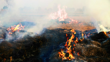 incendiu groapa de gunoi poluare