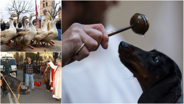 Animale de companie binecuvântate cu apă sfințită într-o biserică din Madrid