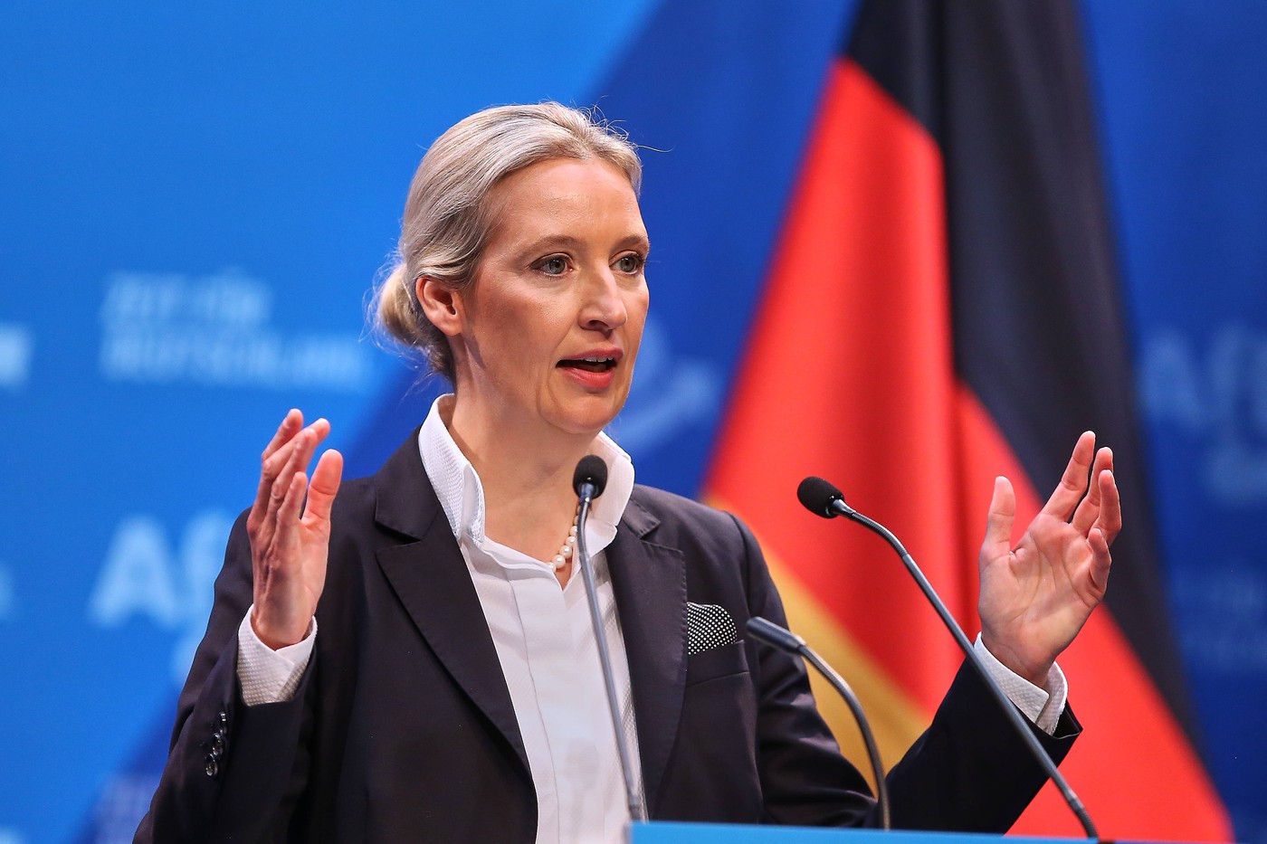Lidera AfD promovează conceptul de „remigrație” pentru deportarea migranților, înainte de alegerile anticipate din Germania