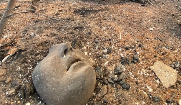 Numeroase colecţii de artă, distruse în incendiile din Los Angeles