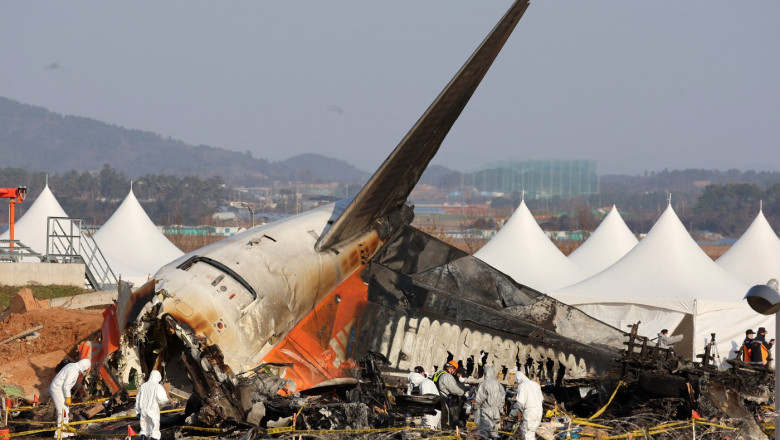 ADN de rață, găsit în motoarele avionului Jeju Air care s-a prăbuşit luna trecută în Coreea de Sud. Ce arată un raport preliminar